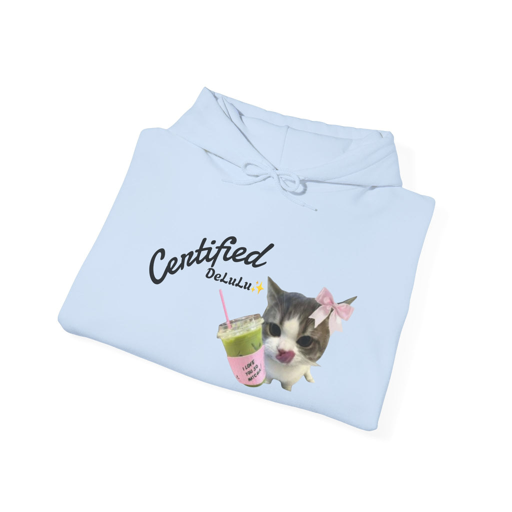 Cat Mom Hoodie — “Certified delulu” Cute Kitten with Coffee Graphic Hooded Sweatshirt