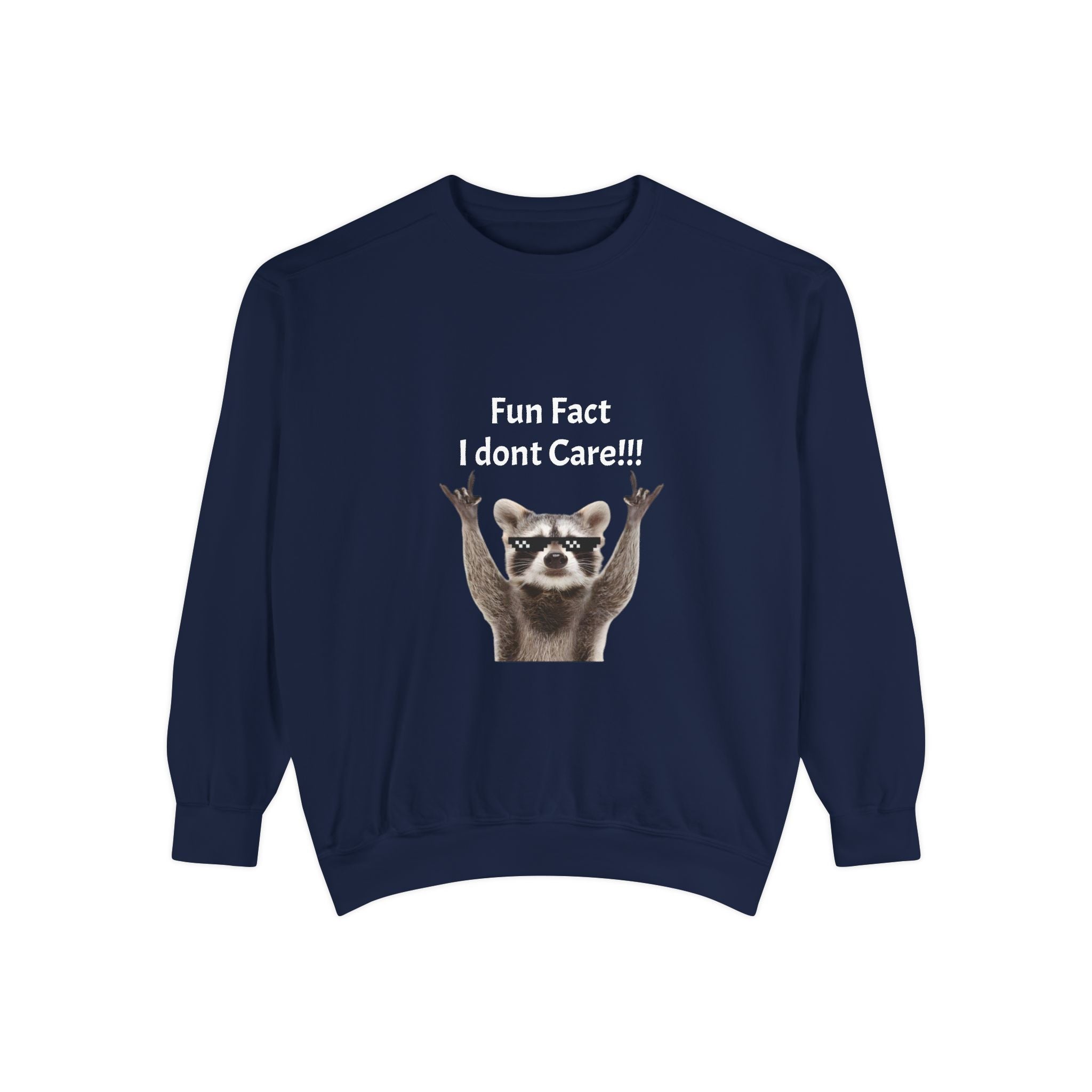 Meme Sweatshirt — Funny Graphic Garment-Dyed Sweatshirt