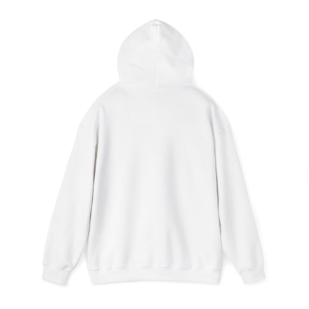 Cat Mom Hoodie — “Certified delulu” Cute Kitten with Coffee Graphic Hooded Sweatshirt
