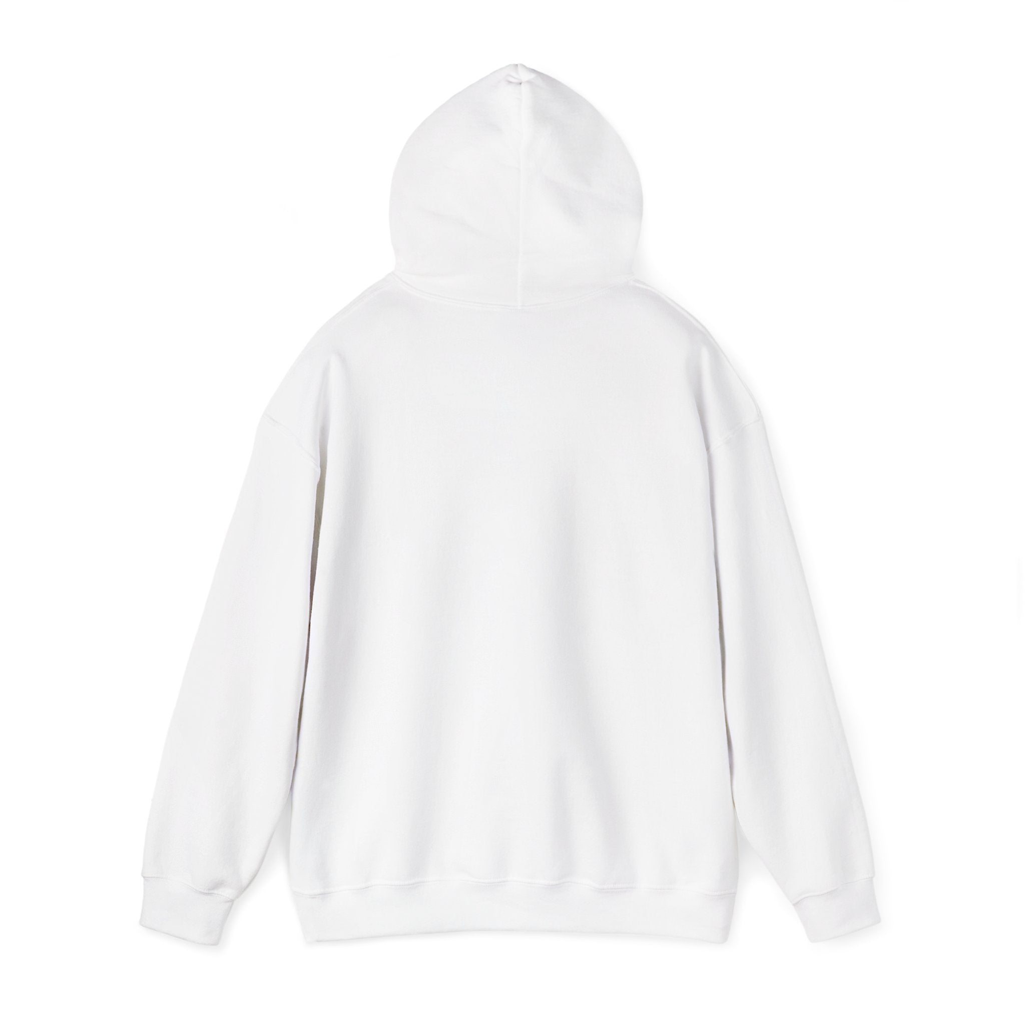 Cat Mom Hoodie — “Certified delulu” Cute Kitten with Coffee Graphic Hooded Sweatshirt
