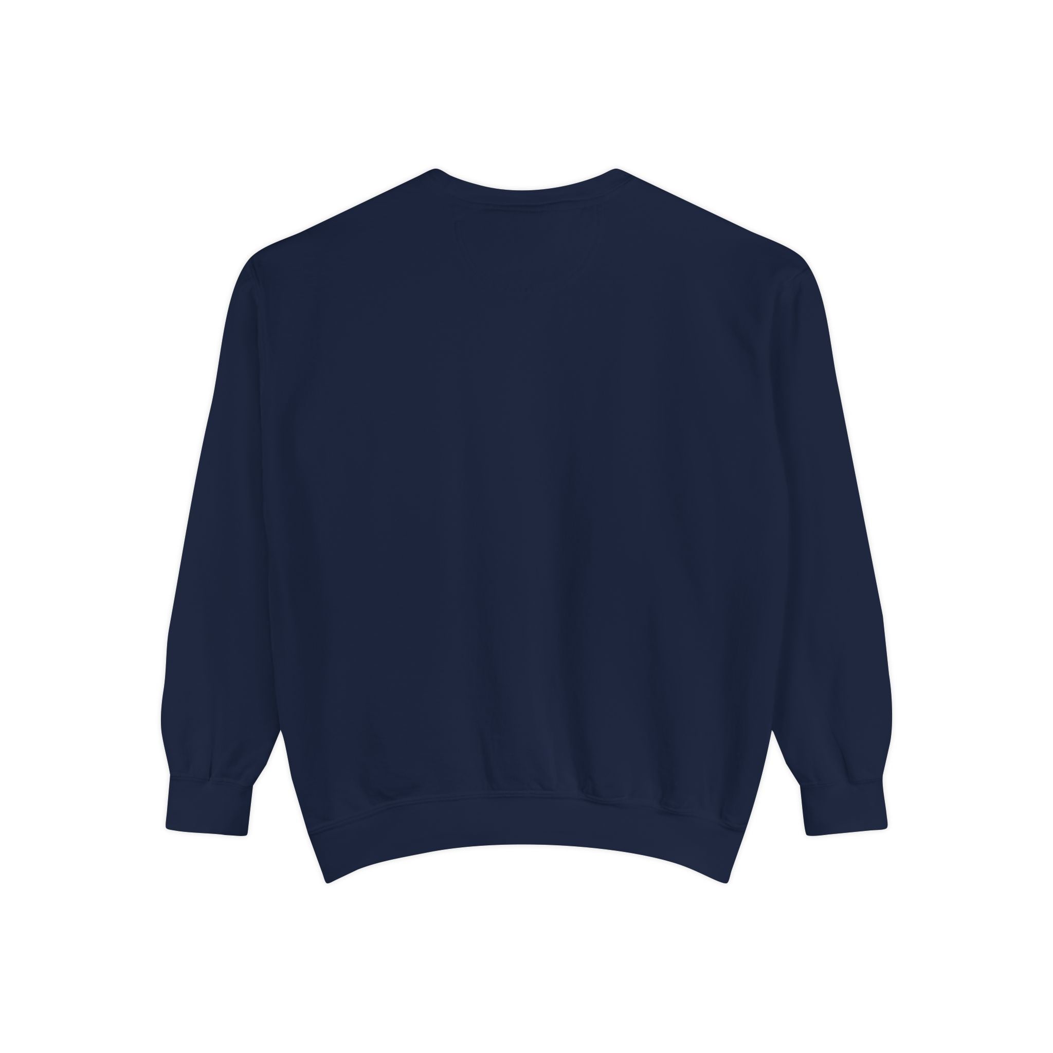 Meme Sweatshirt — Funny Graphic Garment-Dyed Sweatshirt