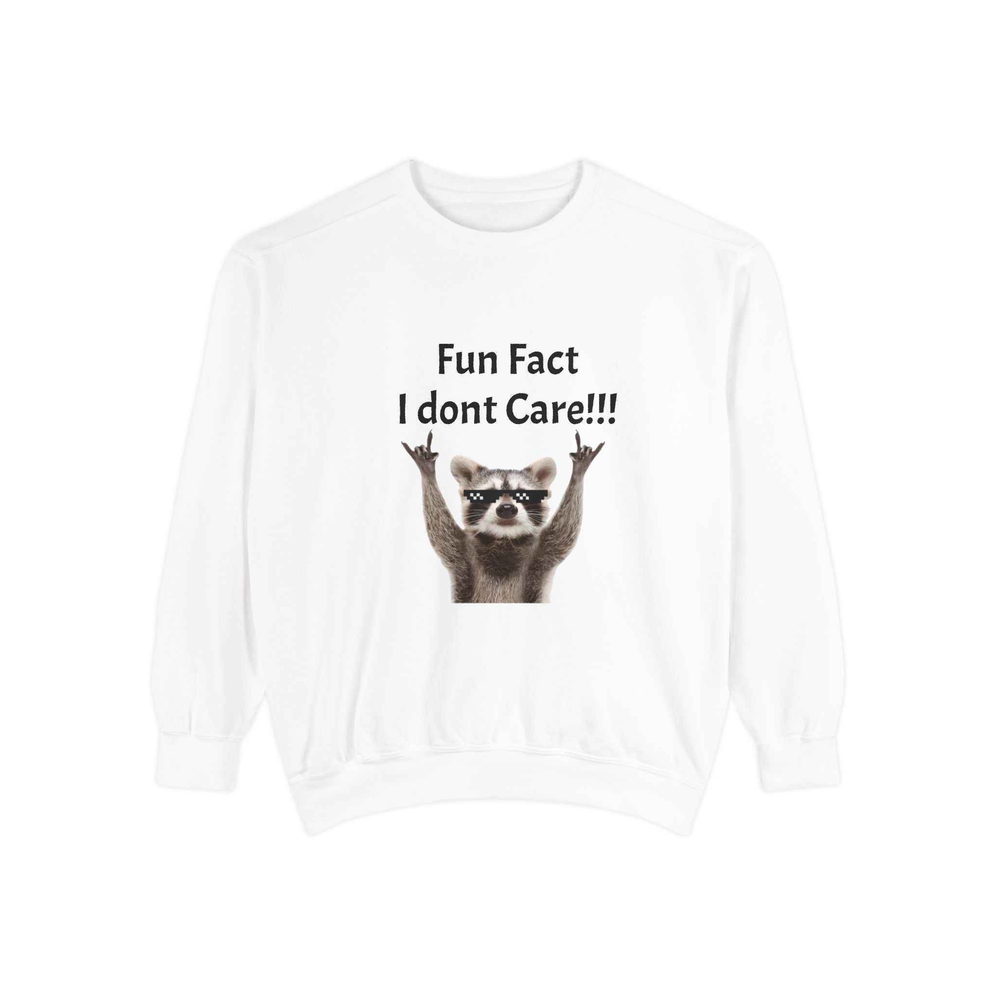 Meme Sweatshirt — Funny Graphic Garment-Dyed Sweatshirt