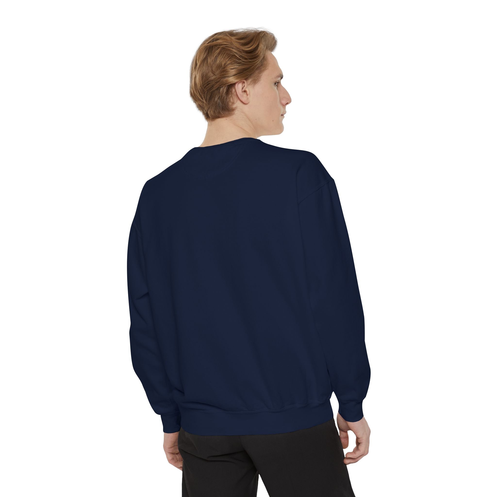 Meme Sweatshirt — Funny Graphic Garment-Dyed Sweatshirt
