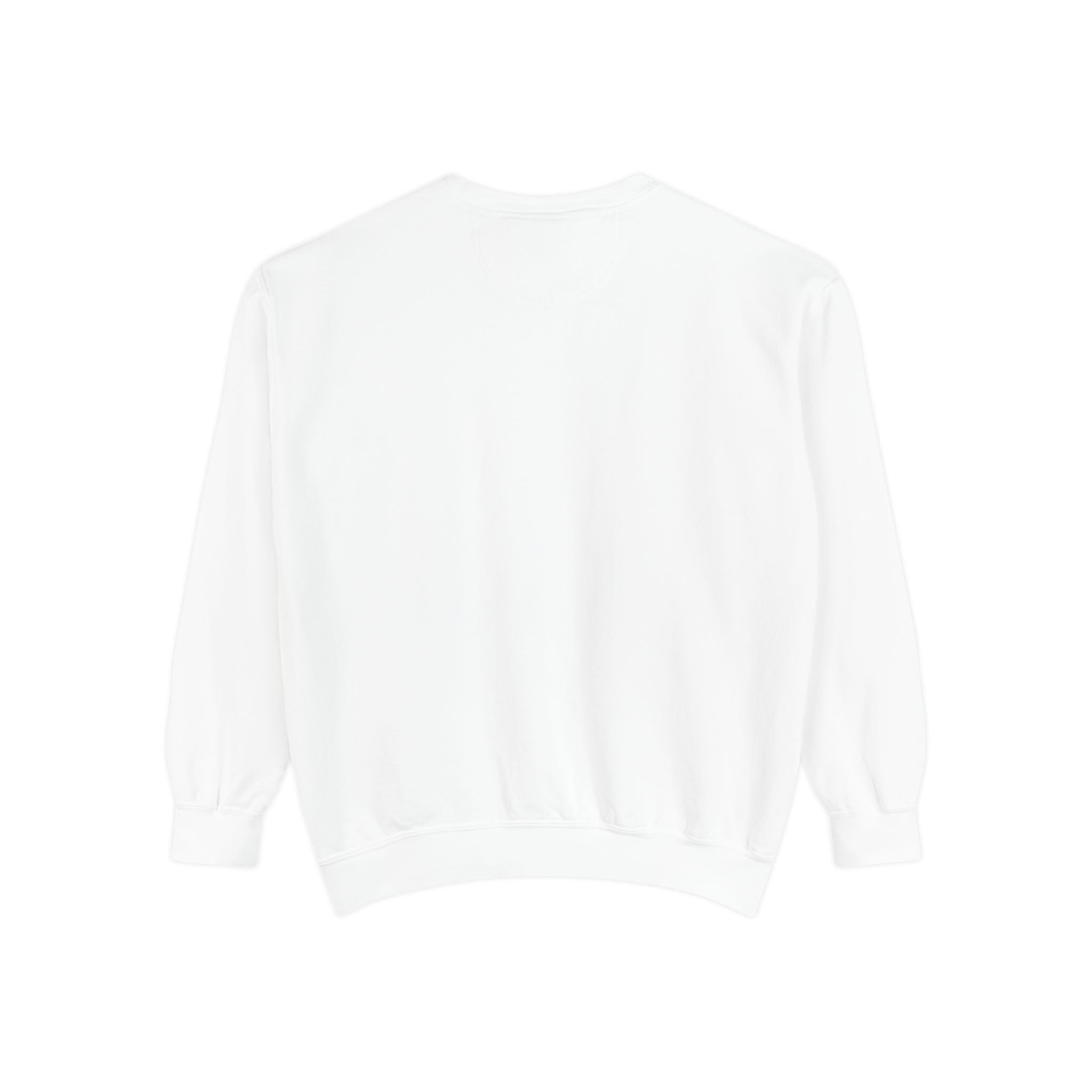 Meme Sweatshirt — Funny Graphic Garment-Dyed Sweatshirt