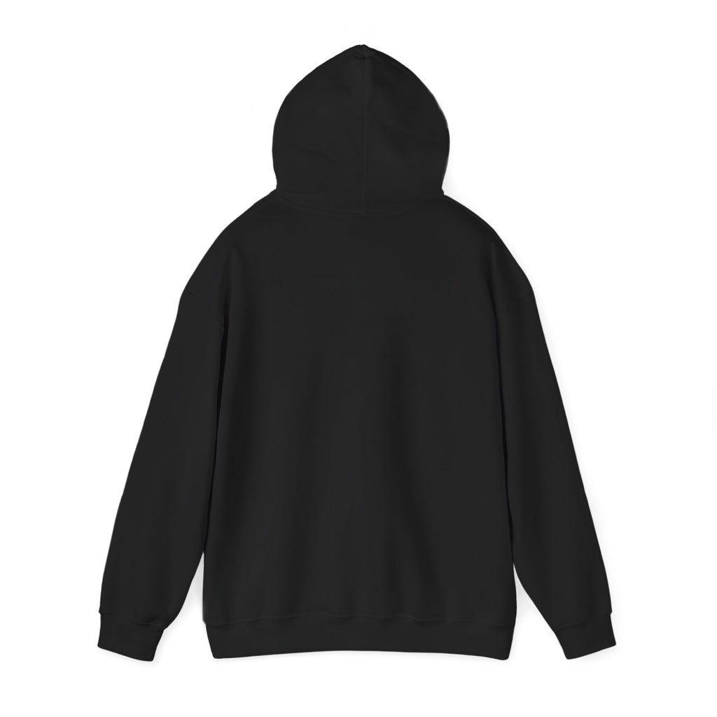 Cat Mom Hoodie — “Certified delulu” Cute Kitten with Coffee Graphic Hooded Sweatshirt