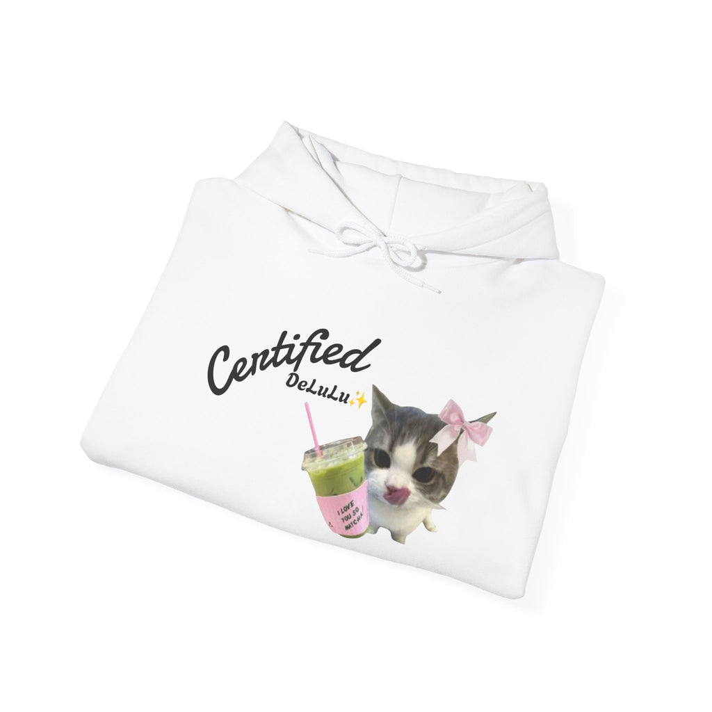 Cat Mom Hoodie — “Certified delulu” Cute Kitten with Coffee Graphic Hooded Sweatshirt